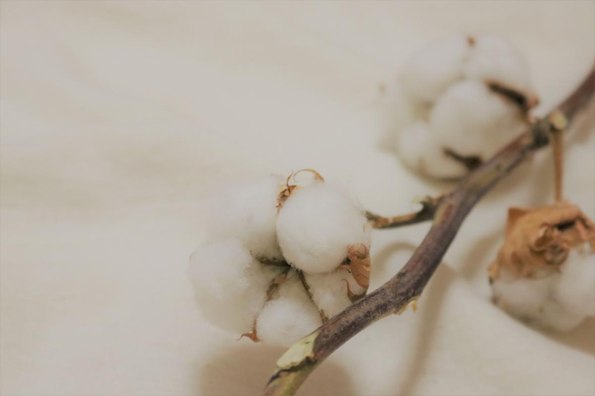 分厚い綿100%は縮みやすいのか??