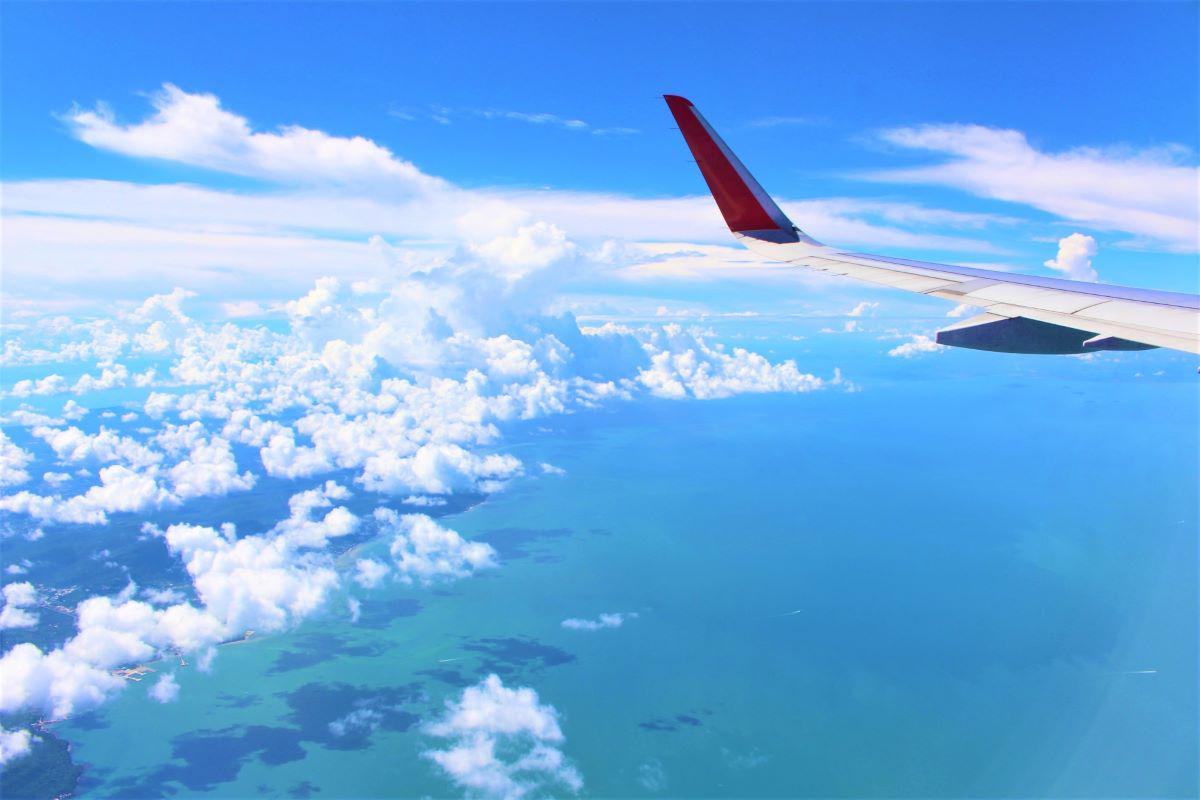 夏旅行には絶対白Tなワケ